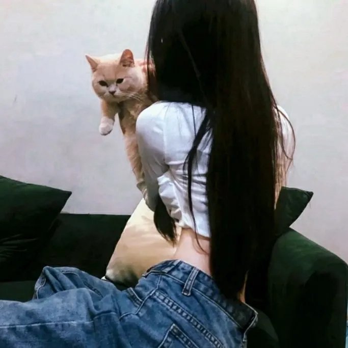 无人能敌